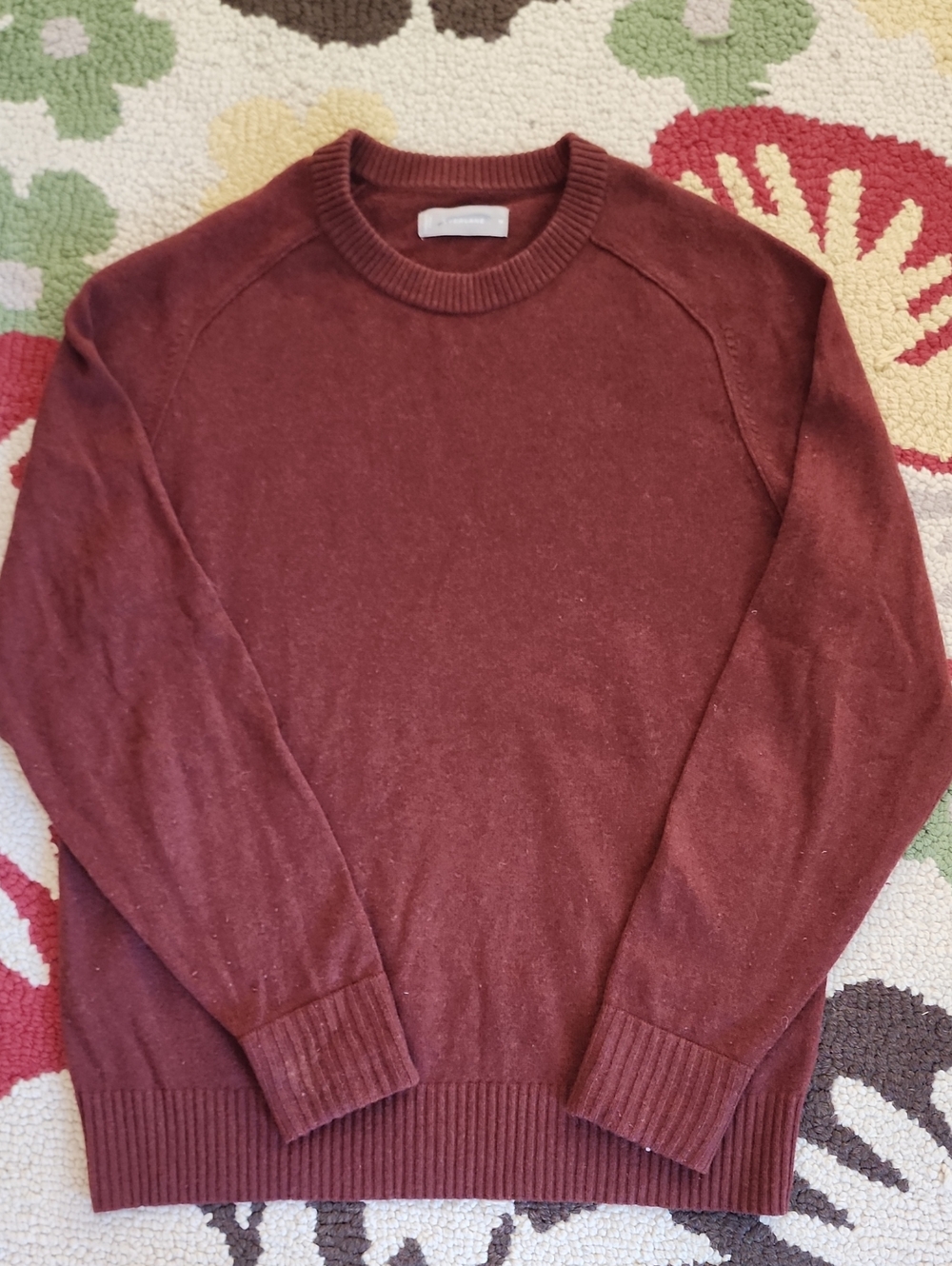 Everlane Cashmere Sweater
